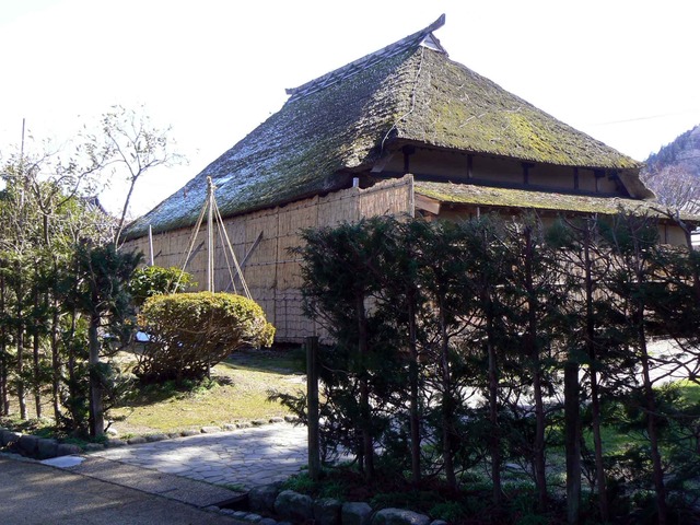 P1110268-2048.jpg