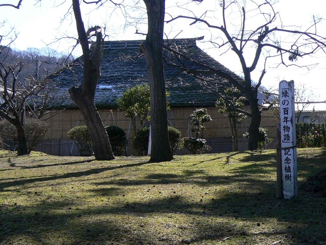 P1110269-2048.jpg