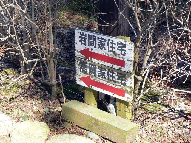P1110272-2048.jpg