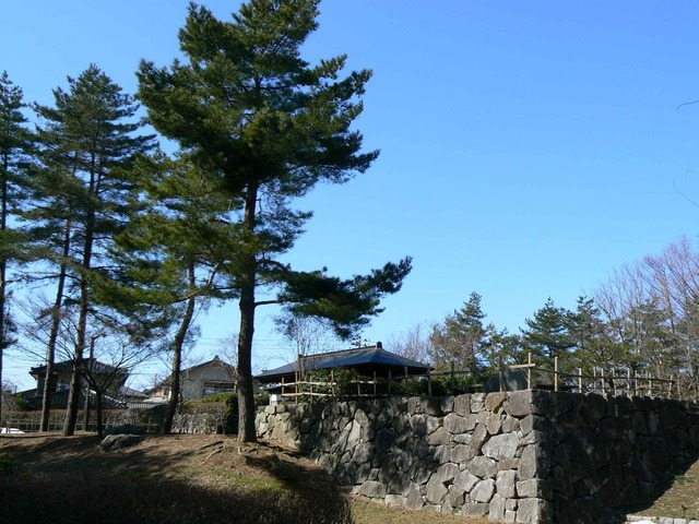 P1110277-2048.jpg