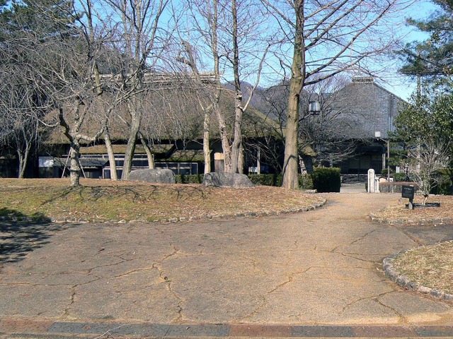 P1110286-2048.jpg