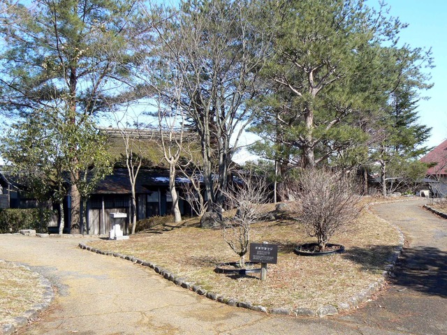 P1110287-2048.jpg