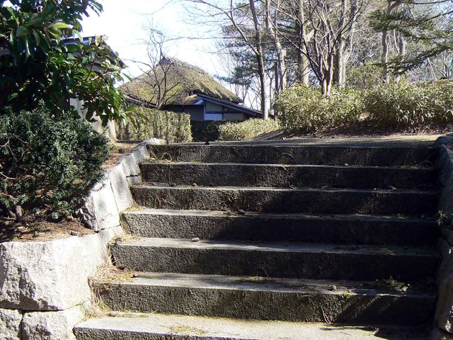 P1110295-2048.jpg