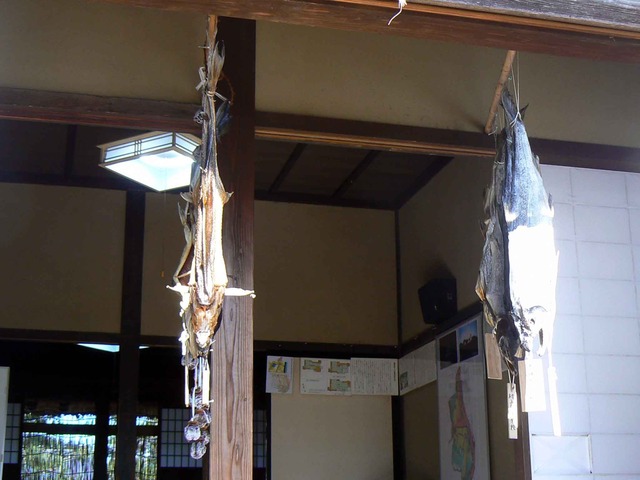 P1110296-2048.jpg