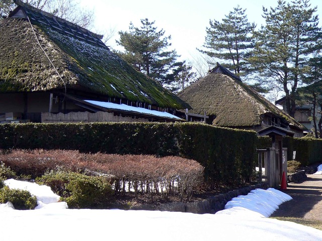 P1110325-2048.jpg