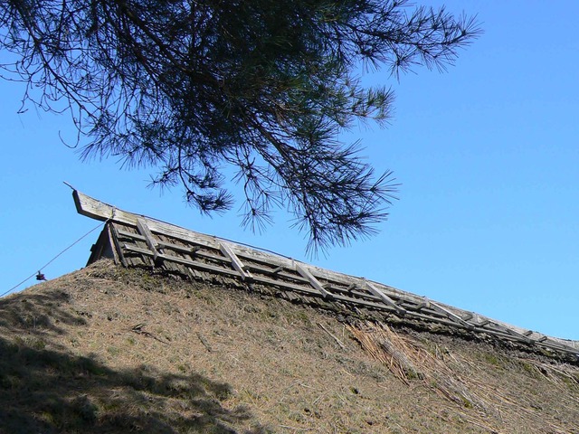 P1110329-2048.jpg