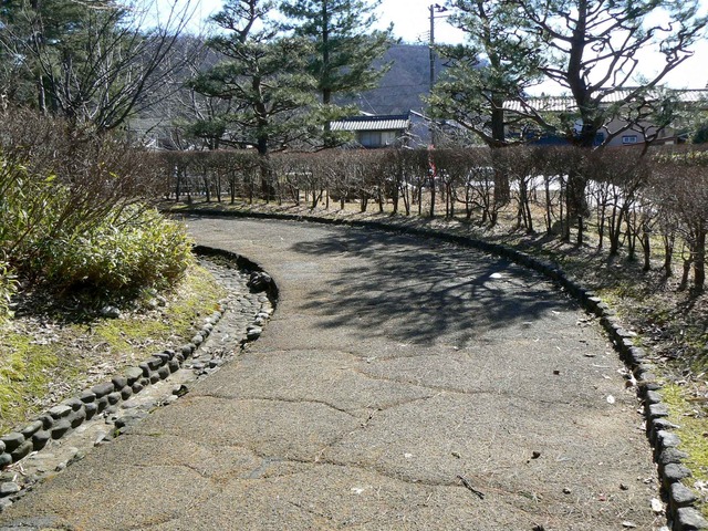 P1110331-2048.jpg