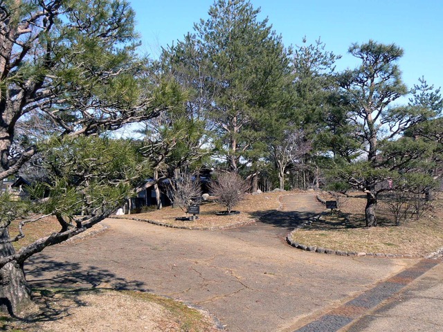 P1110332-2048.jpg