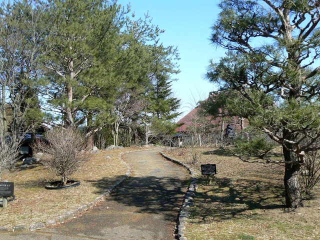 P1110334-2048.jpg