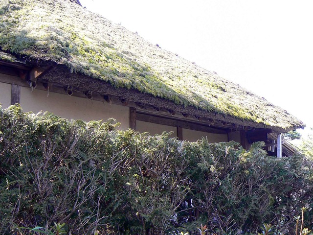 P1110343-2048.jpg