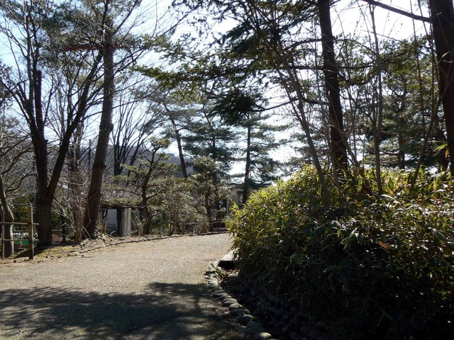 P1110344-2048.jpg