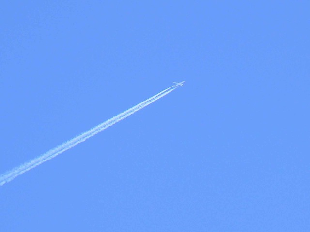 P1110359-2048.jpg