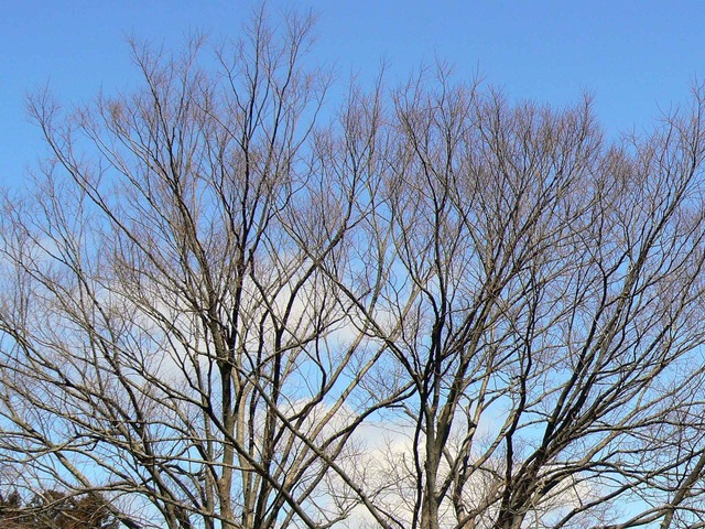 P1110373-2048.jpg
