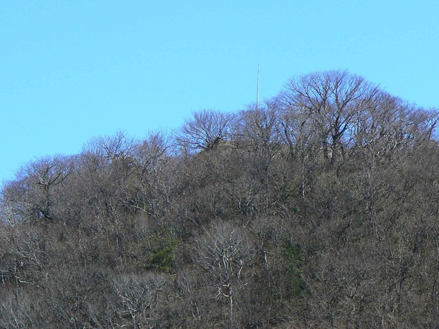 P1110374-2048.jpg