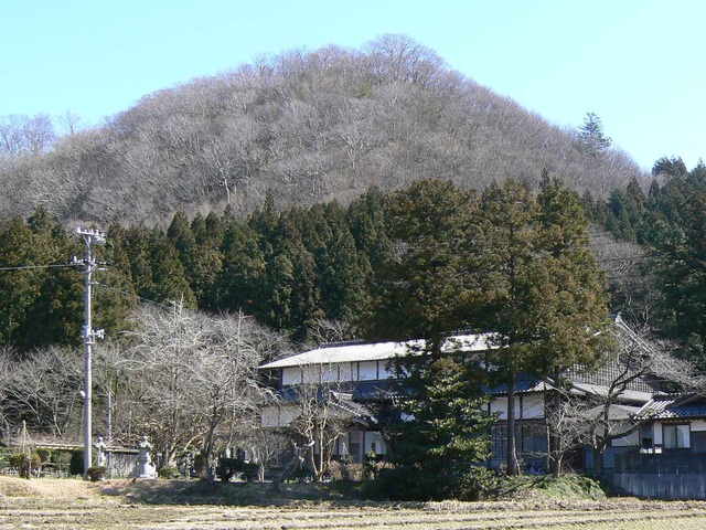 P1110375-2048.jpg