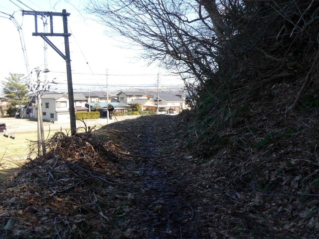 P1110397-2048.jpg