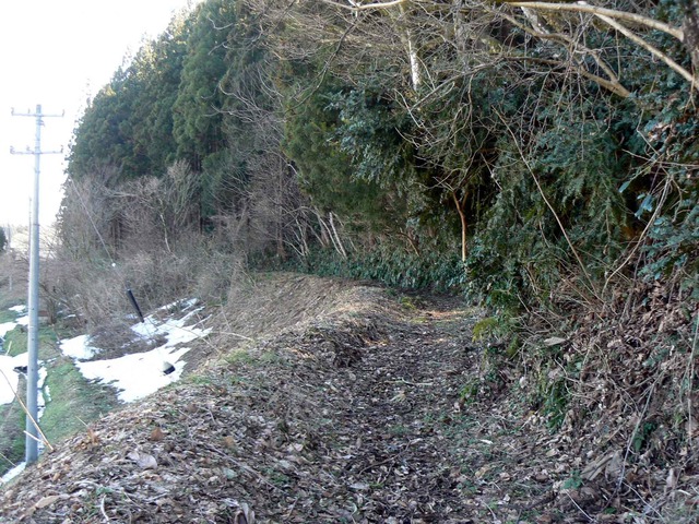 P1110399-2048.jpg