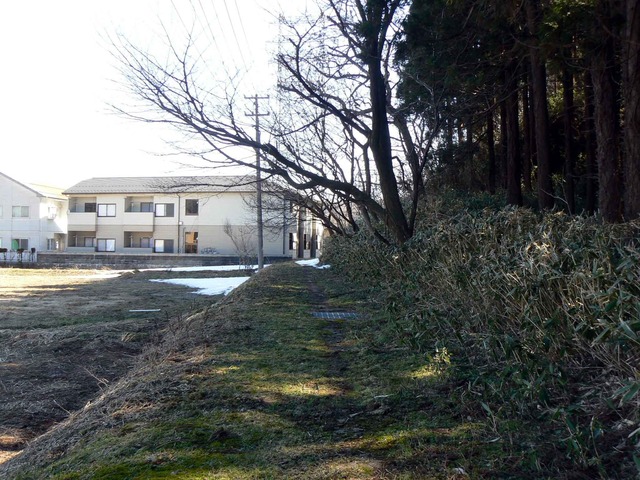 P1110416-2048.jpg