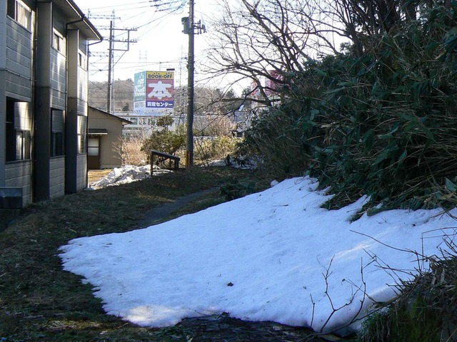 P1110417-2048.jpg