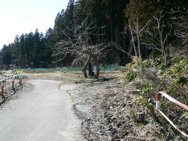 P1110423-2048.jpg