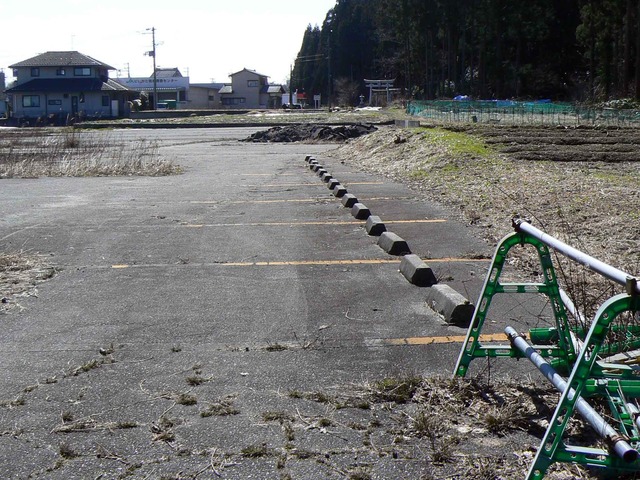 P1110424-2048.jpg