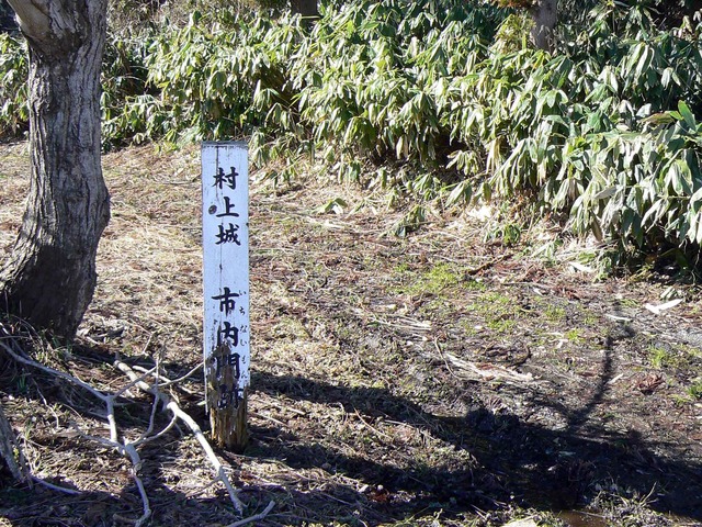 P1110426-2048.jpg