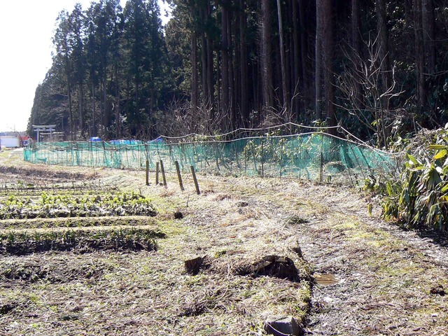 P1110427-2048.jpg