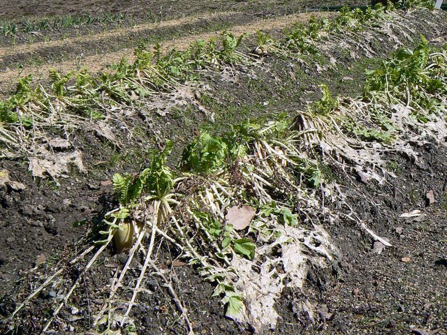 P1110429-2048.jpg