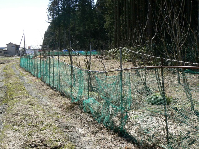 P1110431-2048.jpg