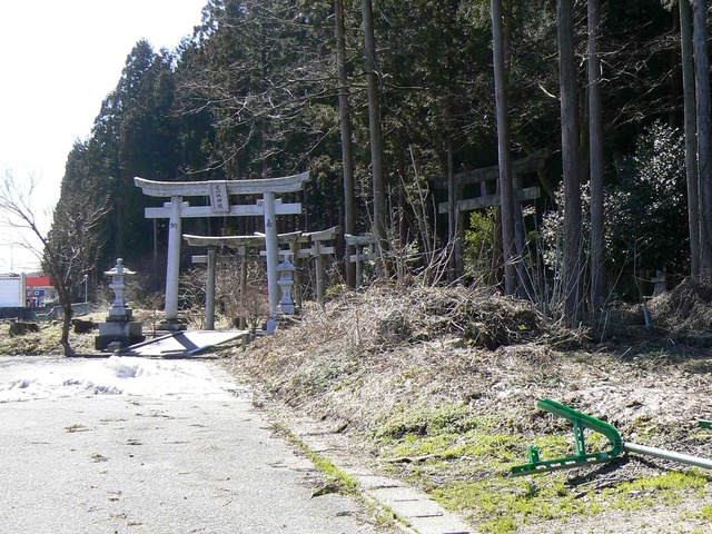 P1110435-2048.jpg