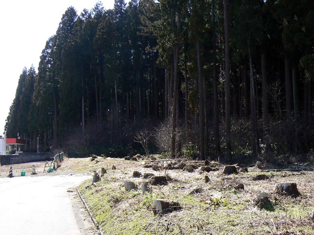 P1110477-2048.jpg
