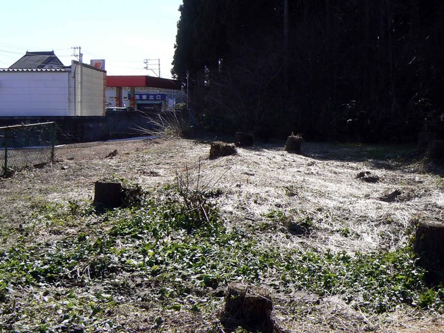 P1110479-2048.jpg