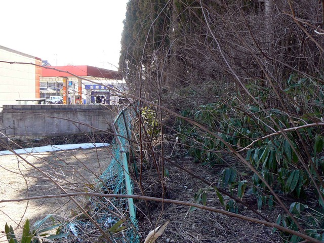 P1110481-2048.jpg