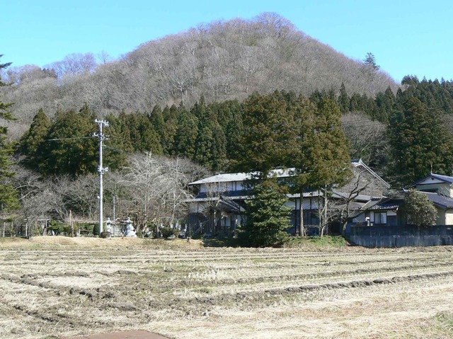 P1110528-1843.jpg