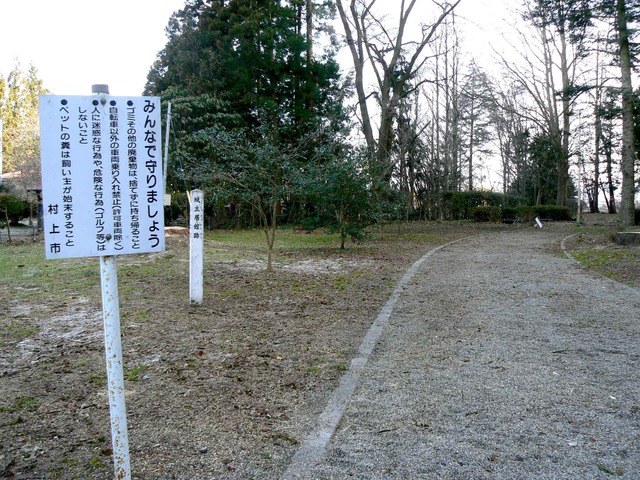 P1110554-2048.jpg