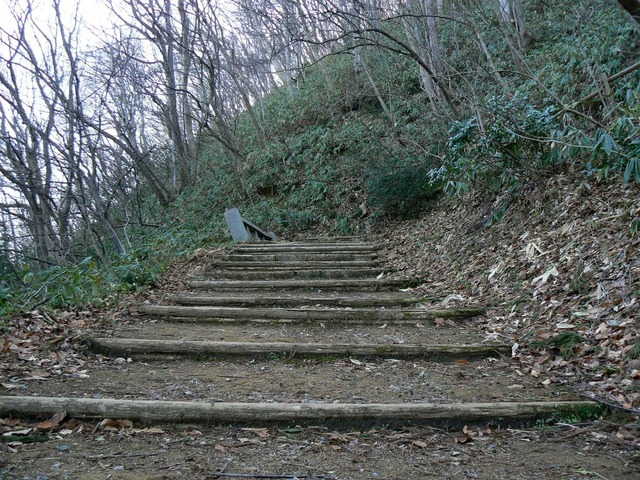 P1110560-2048.jpg