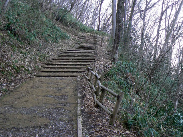 P1110562-2048.jpg