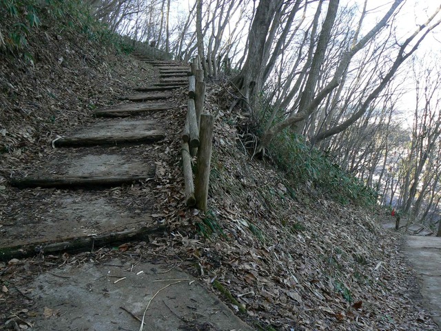 P1110567-2048.jpg