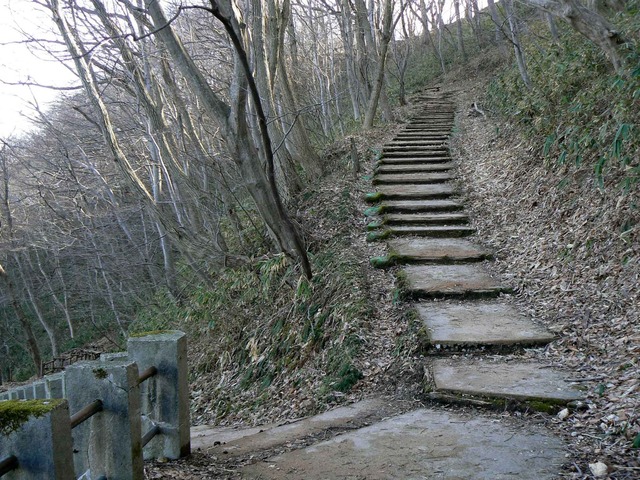 P1110571-2048.jpg