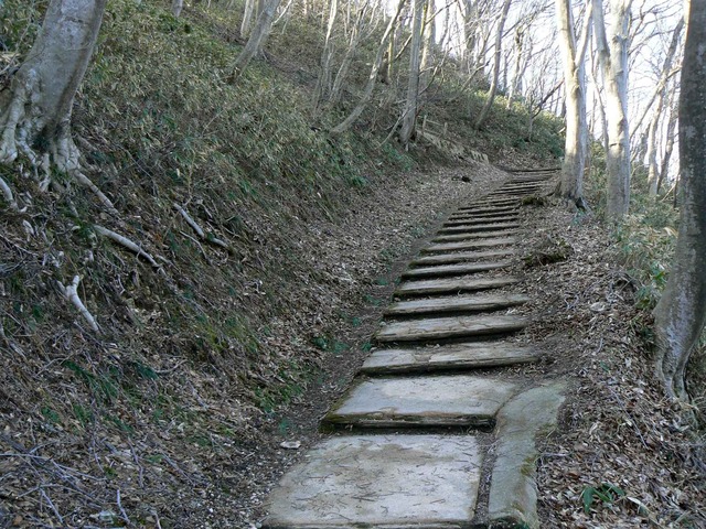P1110573-2048.jpg