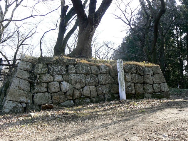 P1110576-2048.jpg