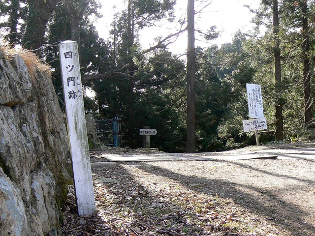 P1110577-2048.jpg