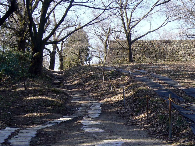 P1110579-2048.jpg