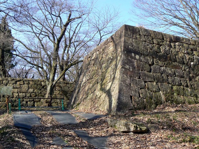 P1110580-2048.jpg