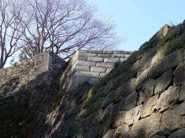 P1110591-2048.jpg