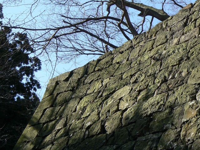 P1110593-2048.jpg