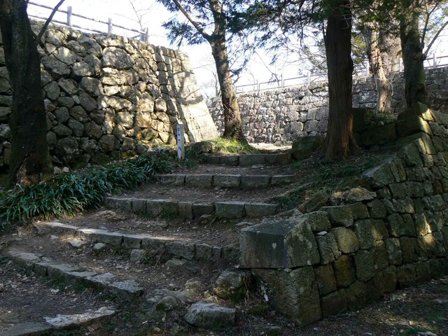 P1110601-2048.jpg