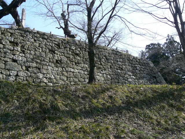 P1110612-2048.jpg