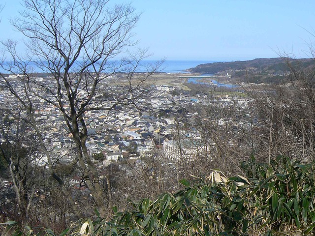 P1110613-2048.jpg