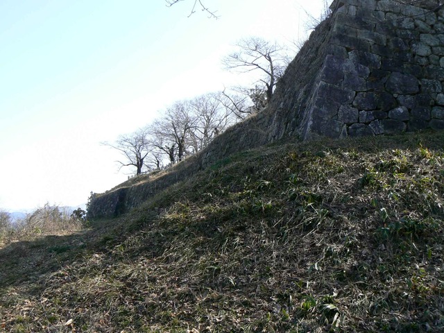 P1110614-2048.jpg